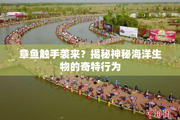 章鱼触手袭来？揭秘神秘海洋生物的奇特行为