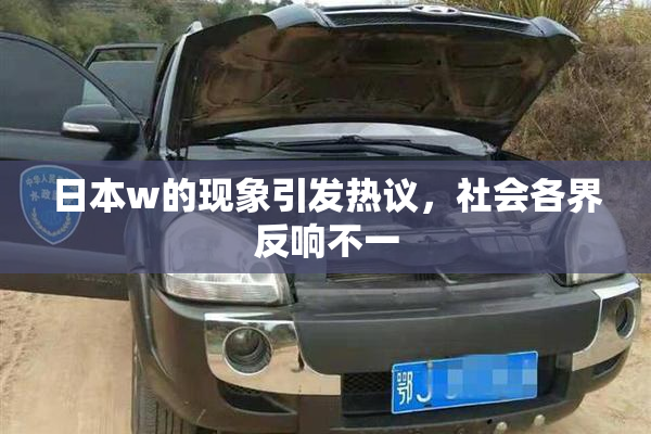 日本w的现象引发热议，社会各界反响不一