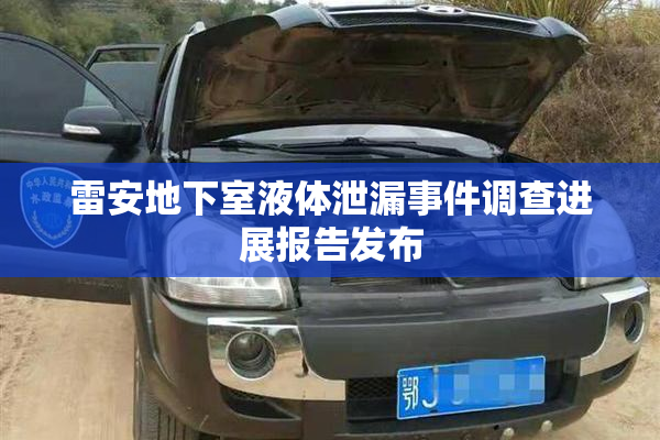 雷安地下室液体泄漏事件调查进展报告发布