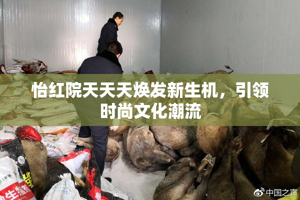 怡红院天天天焕发新生机，引领时尚文化潮流