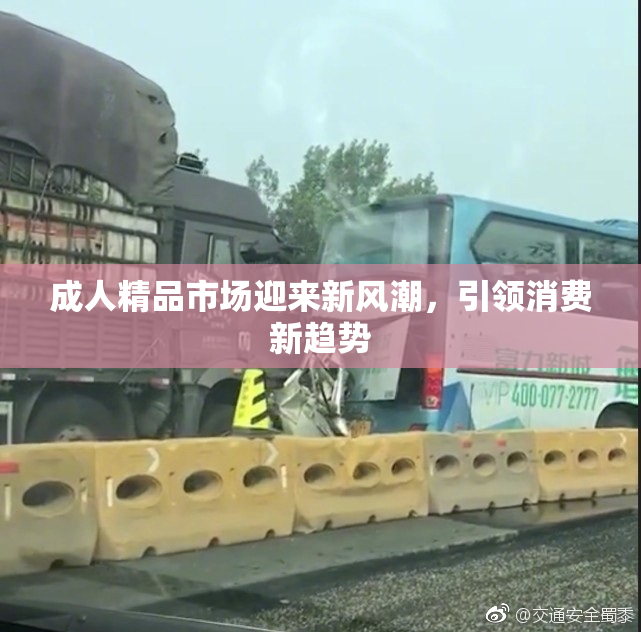 成人精品市场迎来新风潮，引领消费新趋势