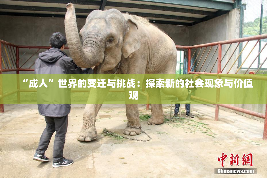 “成人”世界的变迁与挑战：探索新的社会现象与价值观