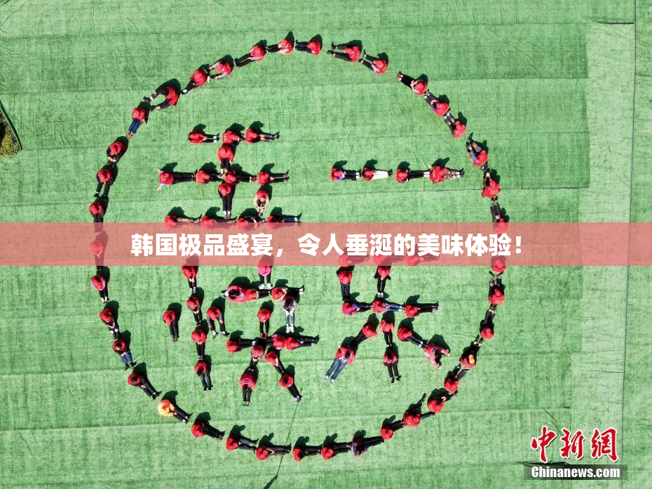 韩国极品盛宴，令人垂涎的美味体验！