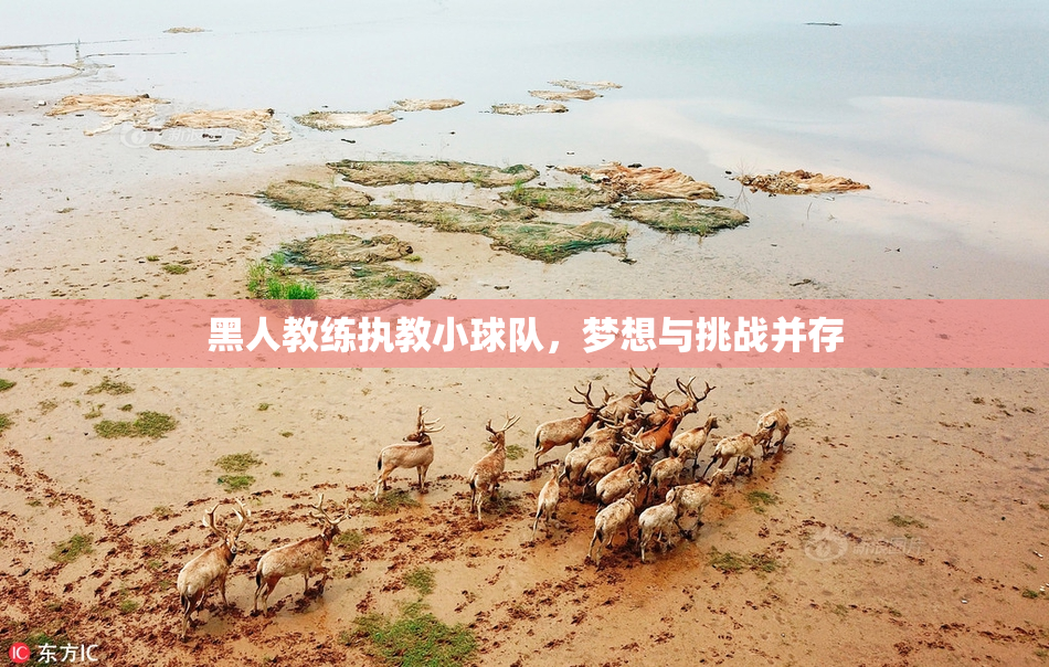 黑人教练执教小球队，梦想与挑战并存