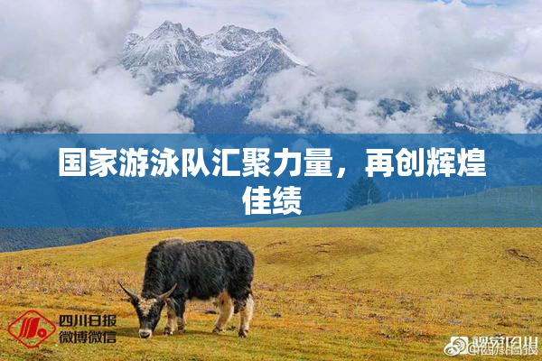 国家游泳队汇聚力量，再创辉煌佳绩
