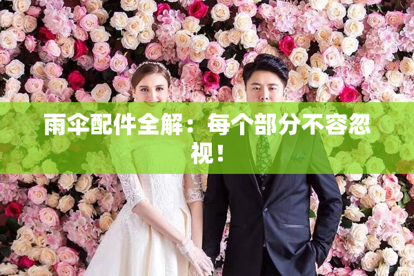 雨伞配件全解：每个部分不容忽视！