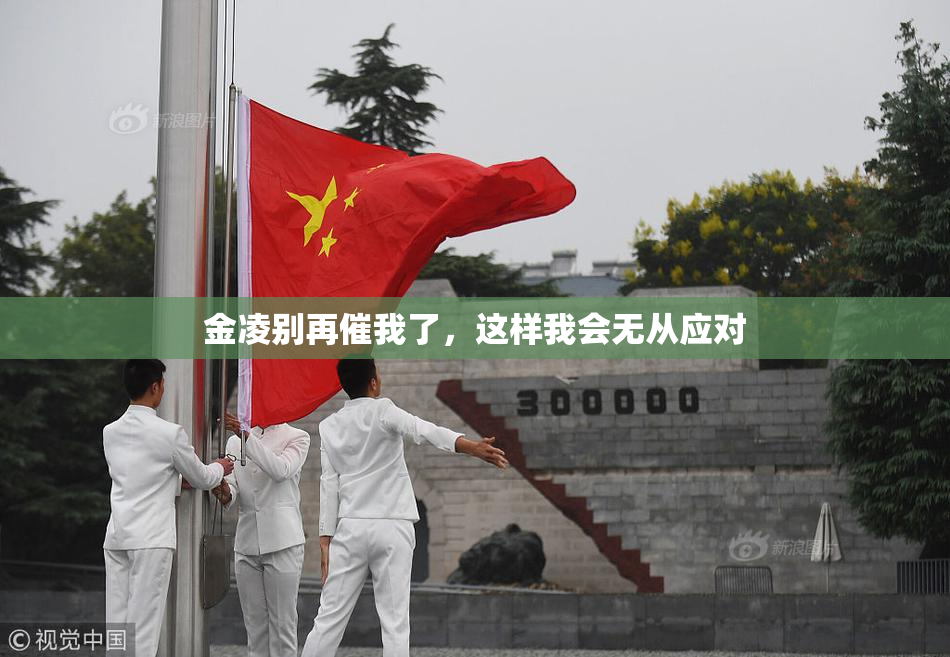 金凌别再催我了，这样我会无从应对