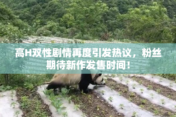 高H双性剧情再度引发热议，粉丝期待新作发售时间！