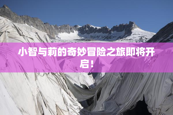 小智与莉的奇妙冒险之旅即将开启！