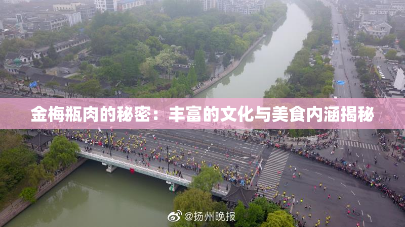 金梅瓶肉的秘密：丰富的文化与美食内涵揭秘