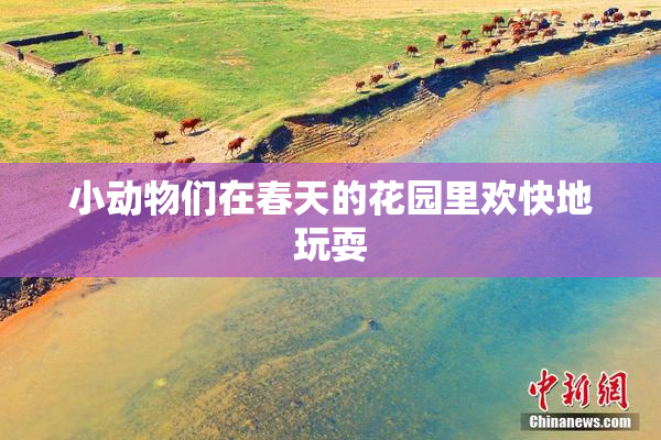 小动物们在春天的花园里欢快地玩耍