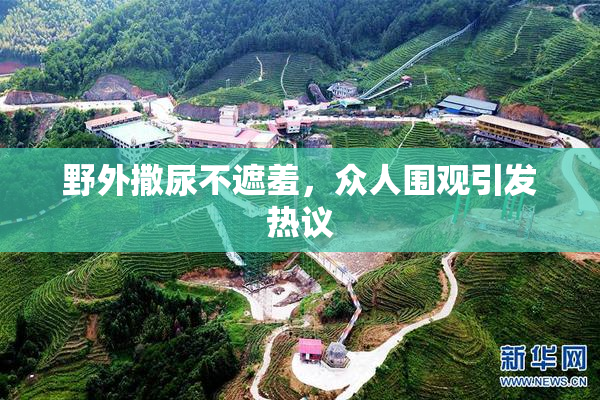 野外撒尿不遮羞，众人围观引发热议