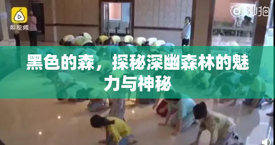 黑色的森，探秘深幽森林的魅力与神秘
