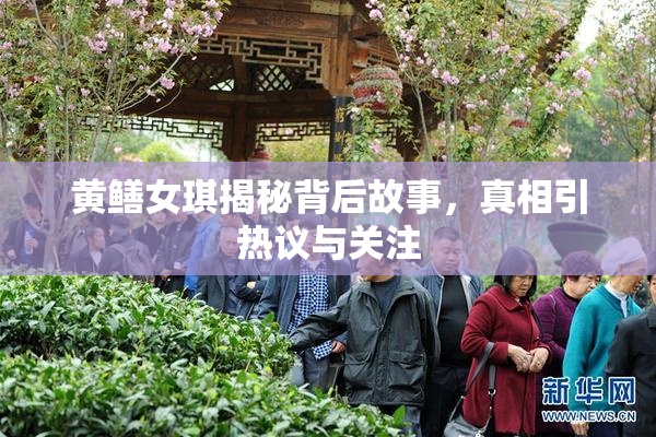 黄鳝女琪揭秘背后故事，真相引热议与关注