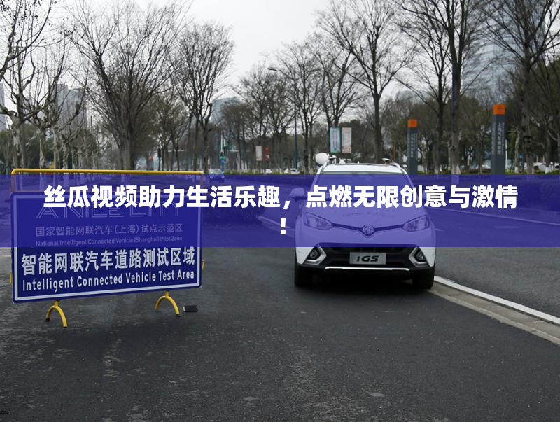 丝瓜视频助力生活乐趣，点燃无限创意与激情！