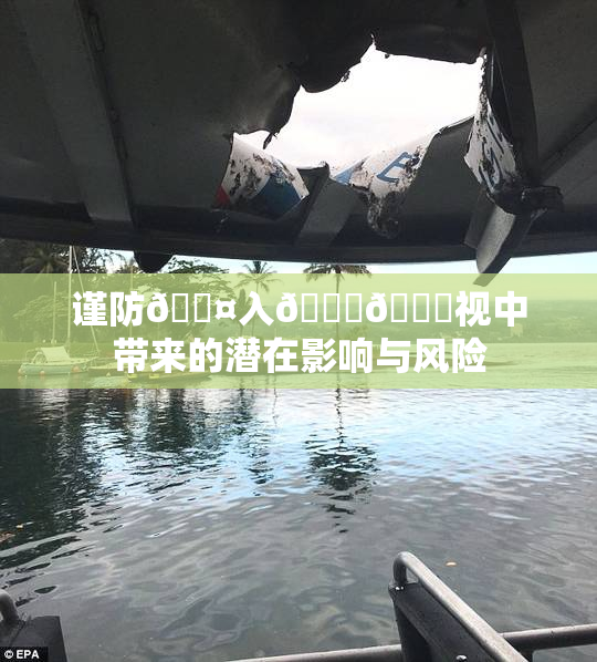 谨防🐤入🍑🍑视中带来的潜在影响与风险