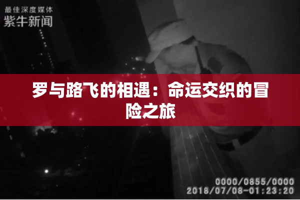 罗与路飞的相遇：命运交织的冒险之旅