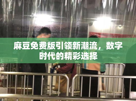 麻豆免费版引领新潮流，数字时代的精彩选择