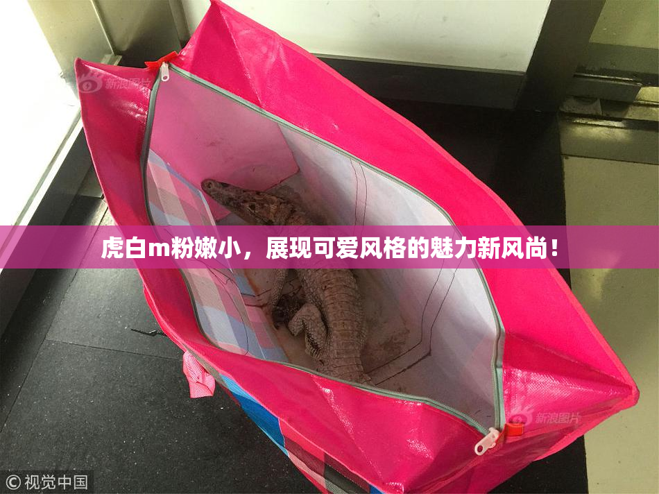 虎白m粉嫩小，展现可爱风格的魅力新风尚！