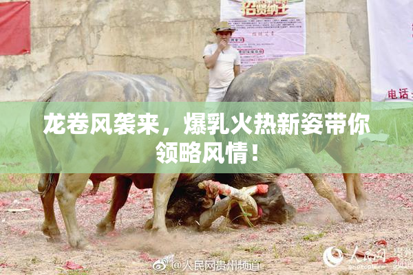 龙卷风袭来，爆乳火热新姿带你领略风情！