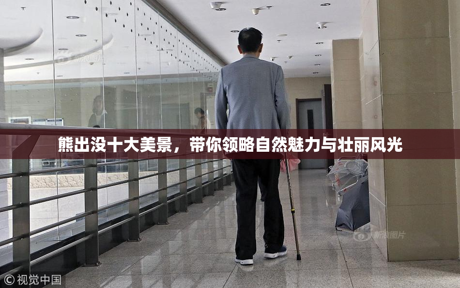 熊出没十大美景，带你领略自然魅力与壮丽风光
