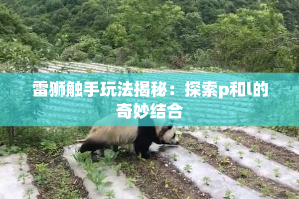 雷狮触手玩法揭秘：探索p和l的奇妙结合