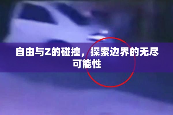 自由与Z的碰撞，探索边界的无尽可能性