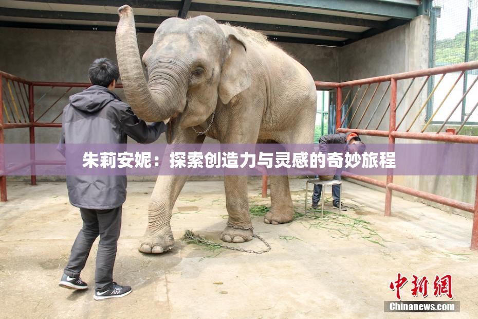 朱莉安妮：探索创造力与灵感的奇妙旅程