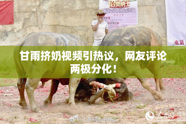 甘雨挤奶视频引热议，网友评论两极分化！