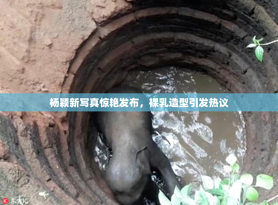 杨颖新写真惊艳发布，裸乳造型引发热议