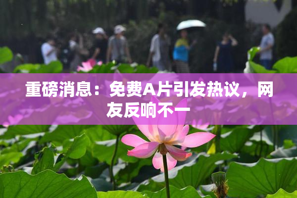 重磅消息：免费A片引发热议，网友反响不一