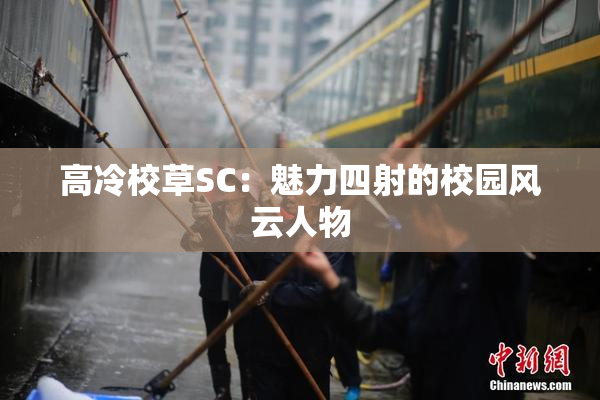 高冷校草SC：魅力四射的校园风云人物