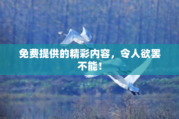 免费提供的精彩内容，令人欲罢不能！