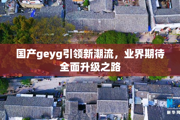 国产geyg引领新潮流，业界期待全面升级之路