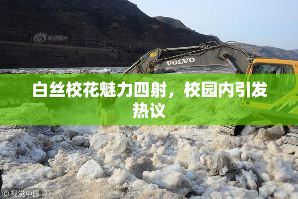白丝校花魅力四射，校园内引发热议