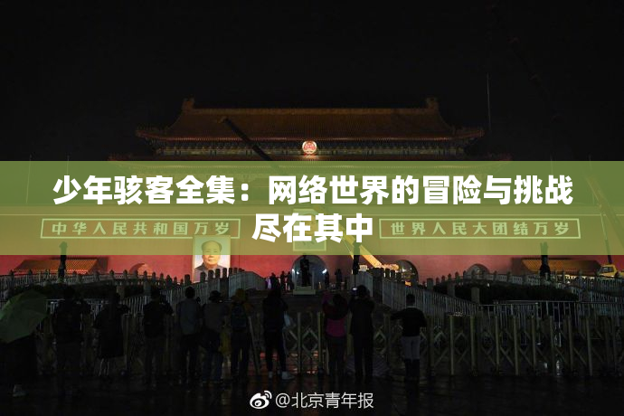 少年骇客全集：网络世界的冒险与挑战尽在其中