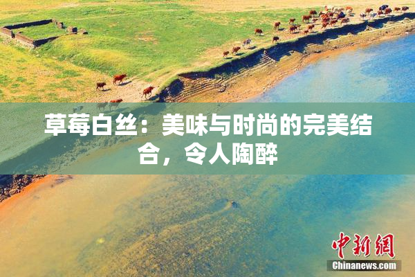 草莓白丝：美味与时尚的完美结合，令人陶醉