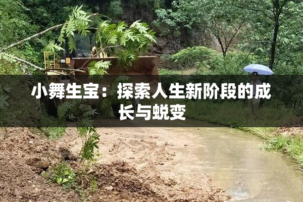 小舞生宝：探索人生新阶段的成长与蜕变