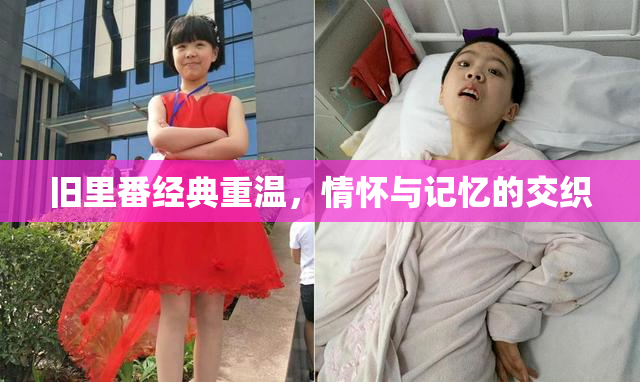 旧里番经典重温，情怀与记忆的交织