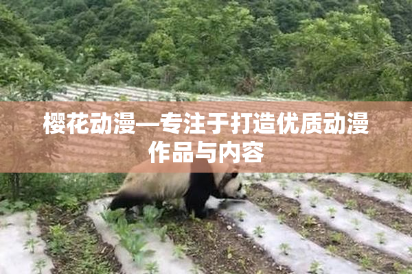 樱花动漫—专注于打造优质动漫作品与内容