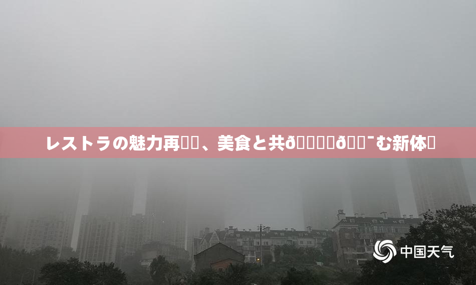 レストラの魅力再発見、美食と共🎆楽🔯む新体験