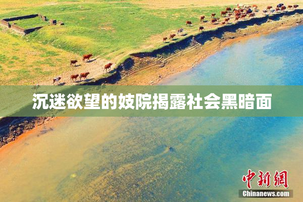 沉迷欲望的妓院揭露社会黑暗面