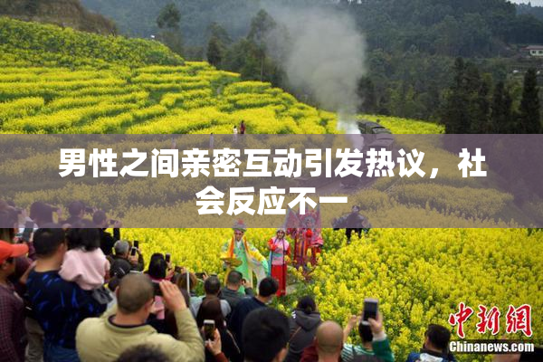 男性之间亲密互动引发热议，社会反应不一