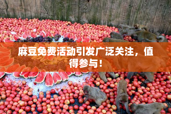 麻豆免费活动引发广泛关注，值得参与！
