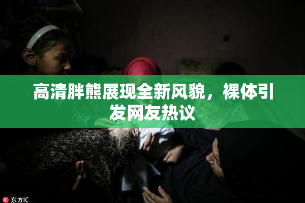 高清胖熊展现全新风貌，裸体引发网友热议
