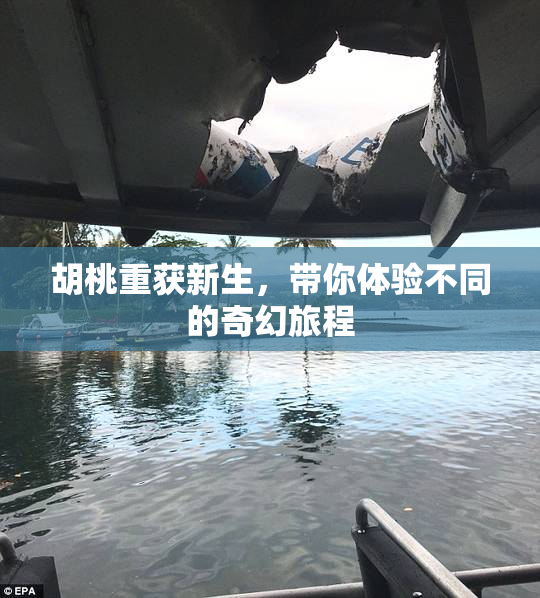 胡桃重获新生，带你体验不同的奇幻旅程
