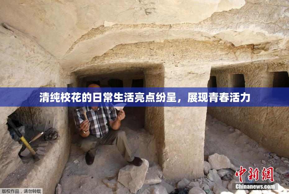 清纯校花的日常生活亮点纷呈，展现青春活力