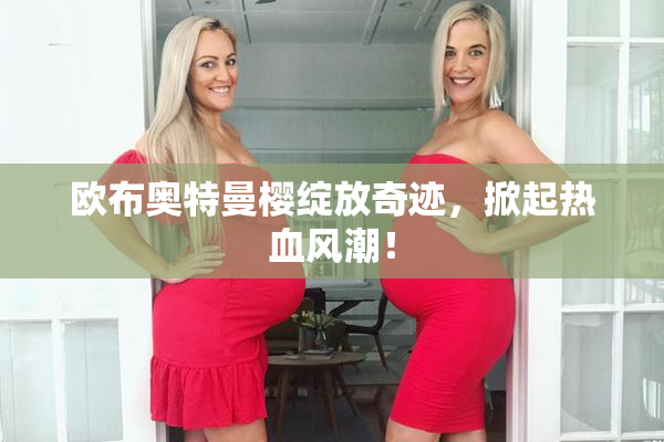 欧布奥特曼樱绽放奇迹，掀起热血风潮！