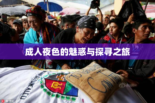 成人夜色的魅惑与探寻之旅