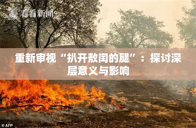 重新审视“扒开敖闰的腿”：探讨深层意义与影响